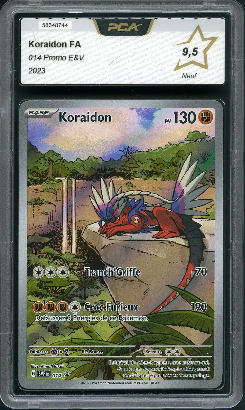 PCA 9.5 Koraidon