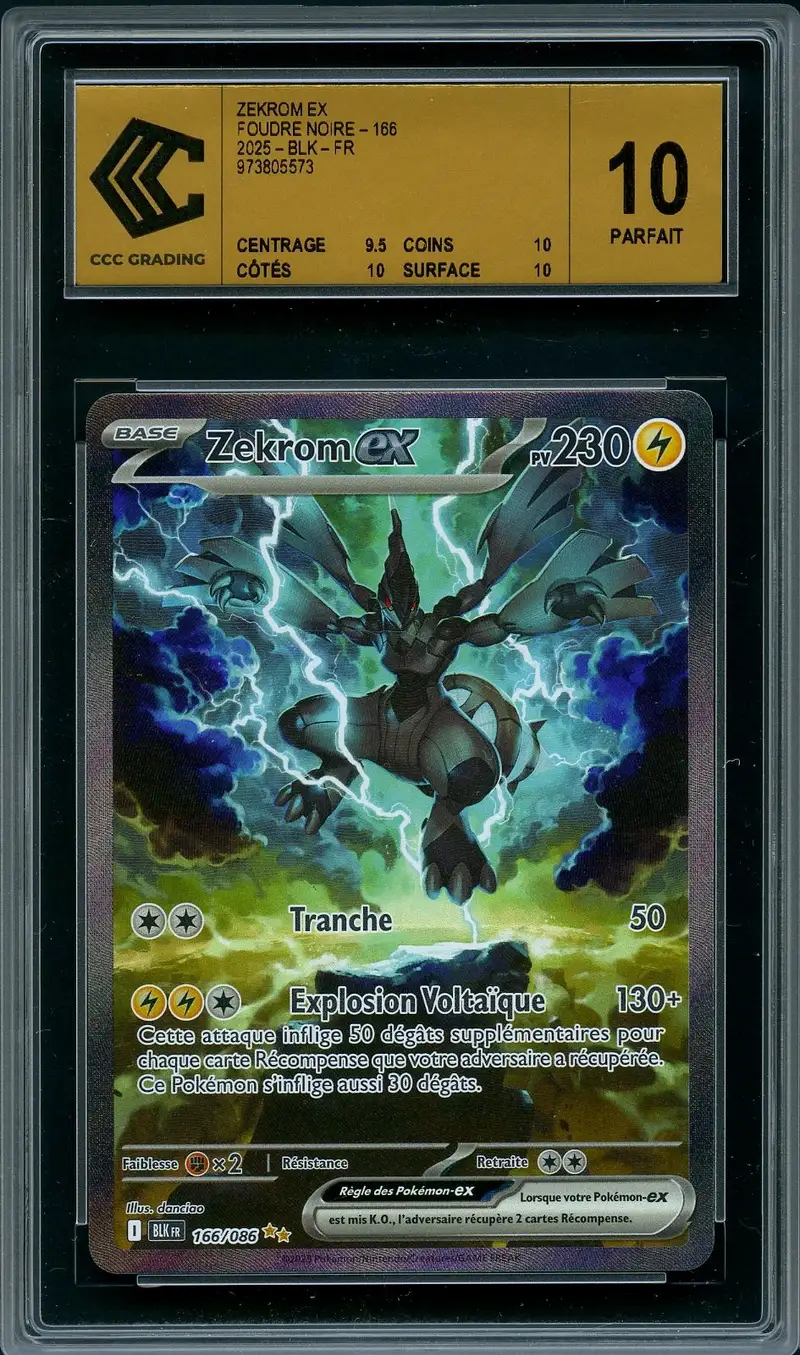 CCC 10 Zekrom Ex