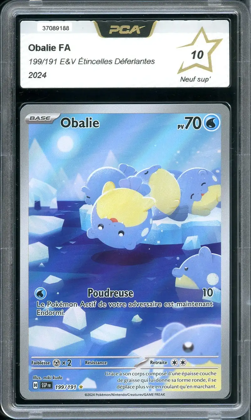 PCA 10 Obalie