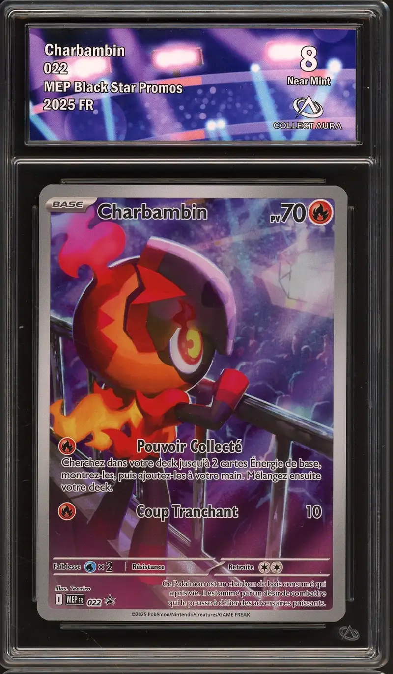 CA 8 Charbambin
