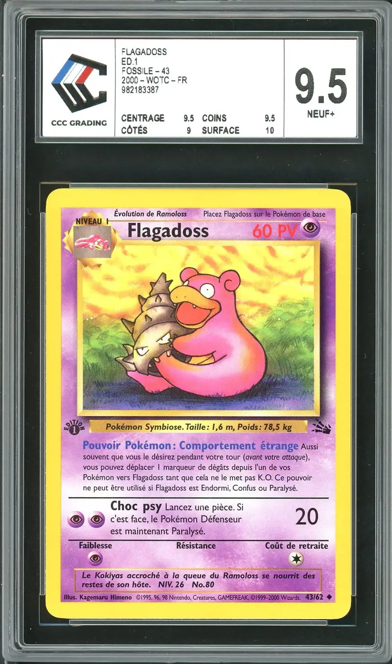 CCC 9.5 Flagadoss
