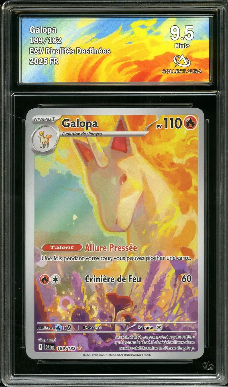CA 9.5 Galopa