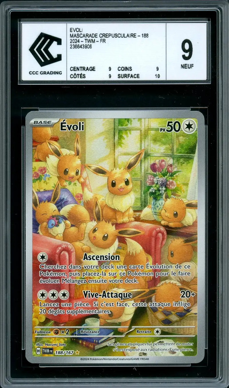 CCC 9 Evoli