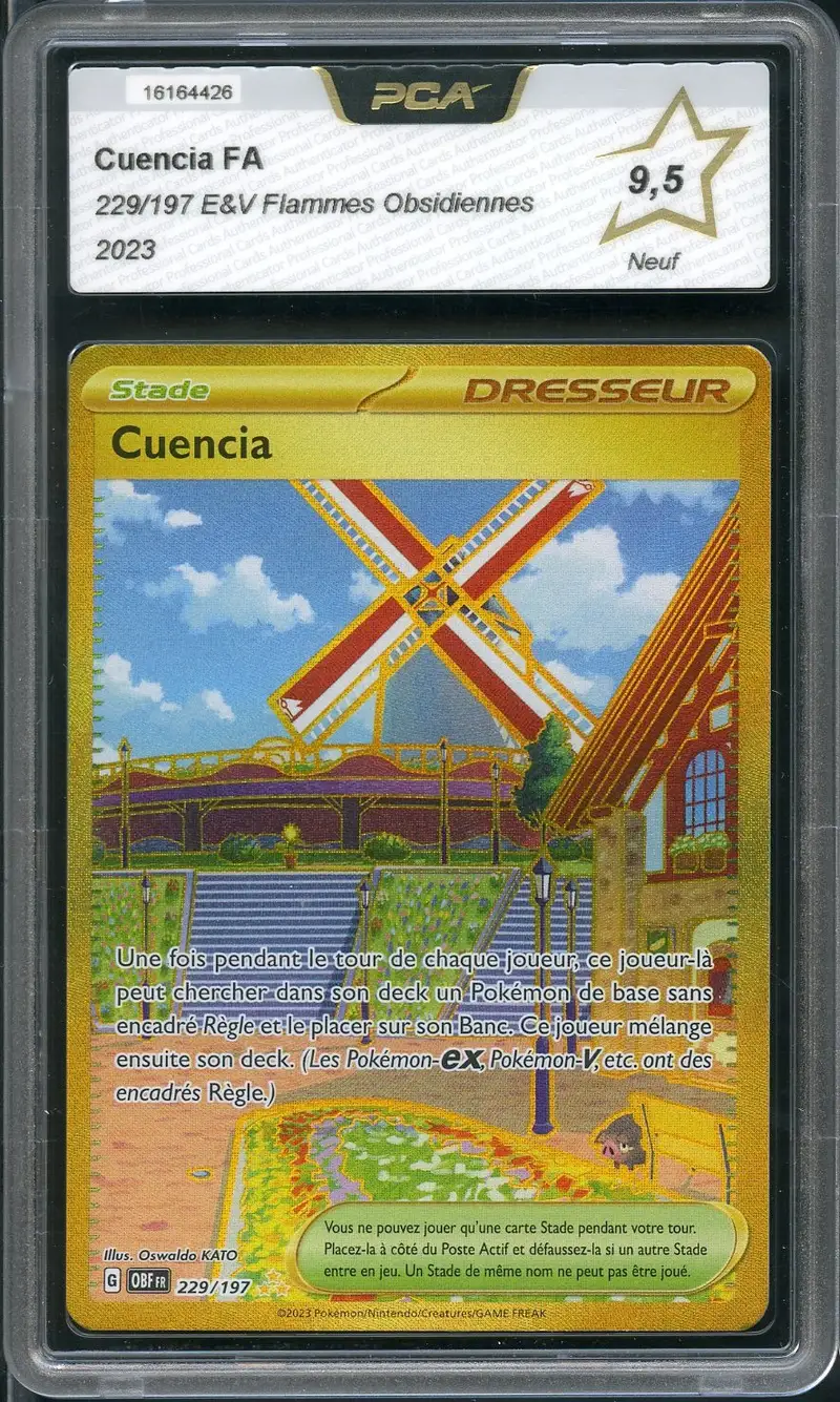 PCA 9.5 Cuencia Gold