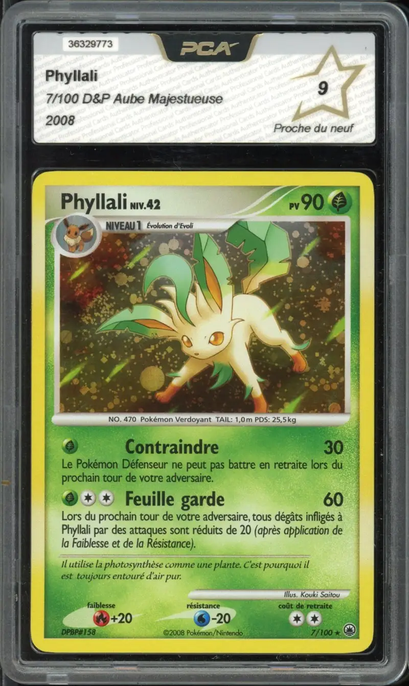PCA 9 Phyllali Holo