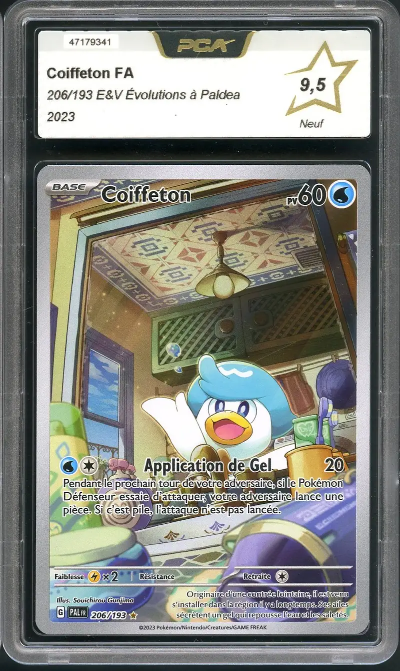 PCA 9.5 Coiffeton