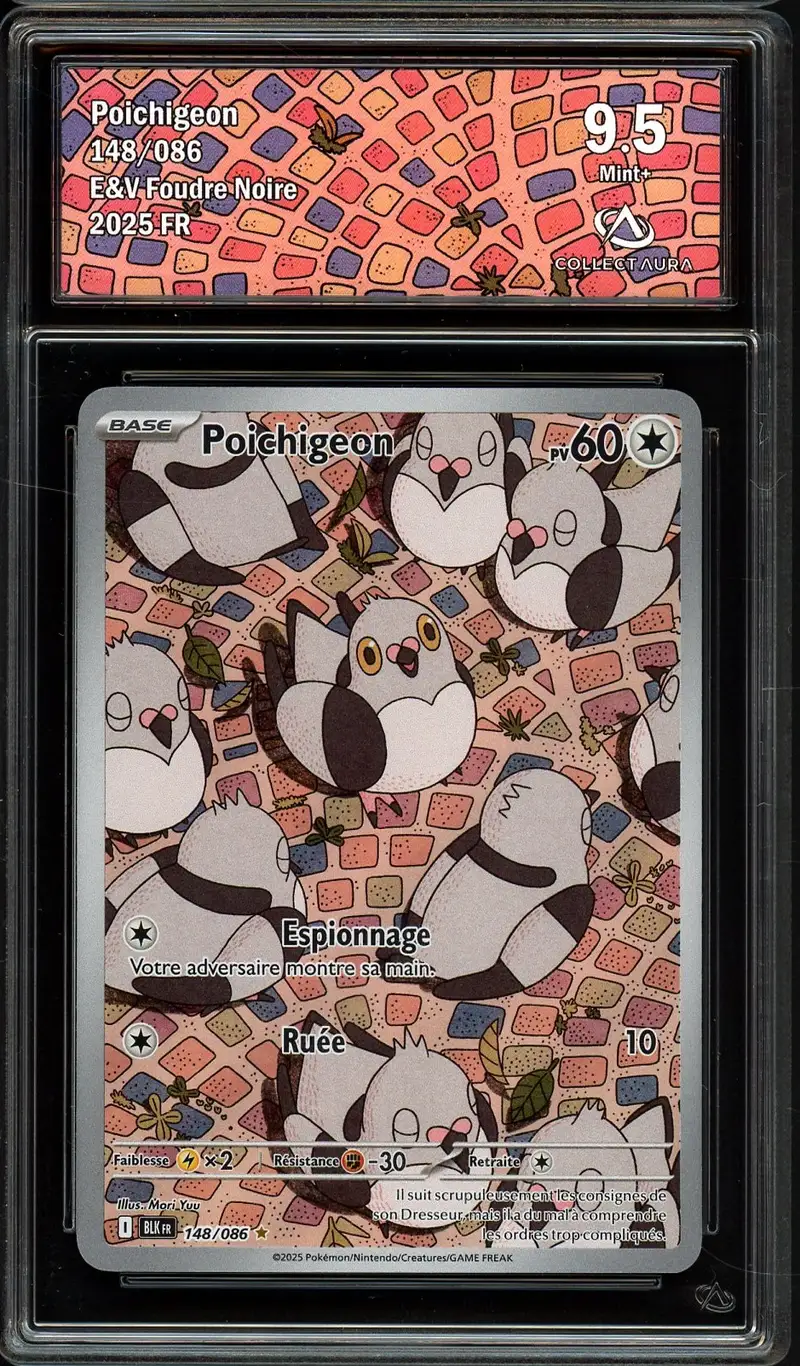 CA 9.5 Poichigeon