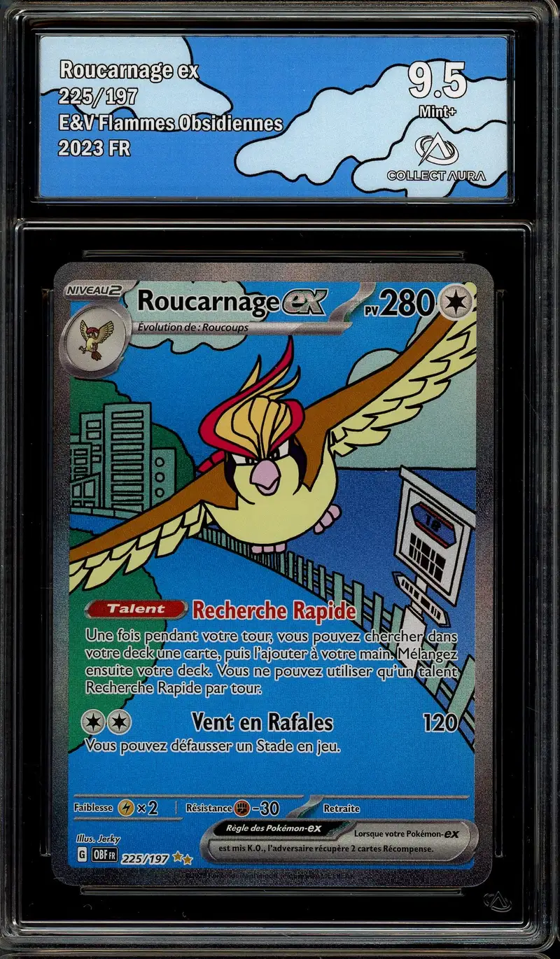 CA 9.5 Roucarnage Ex