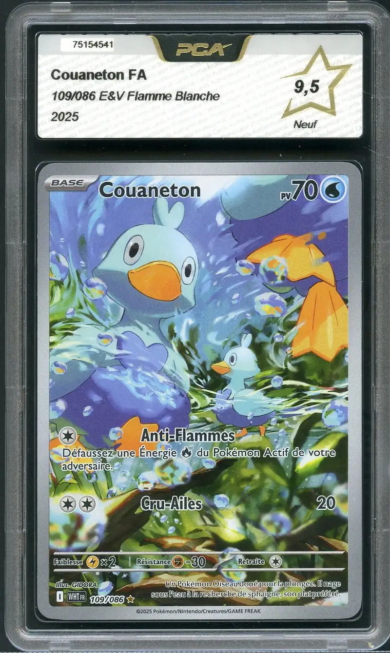 PCA 9.5 Couaneton