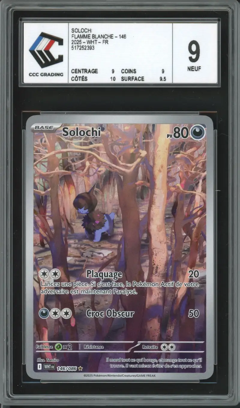 CCC 9 Solochi