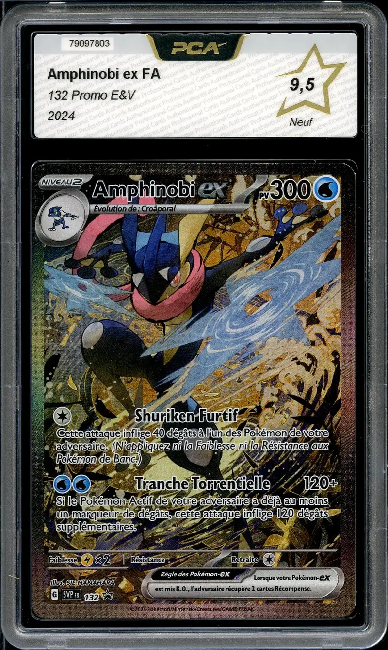 PCA 9.5 Amphinobi Ex