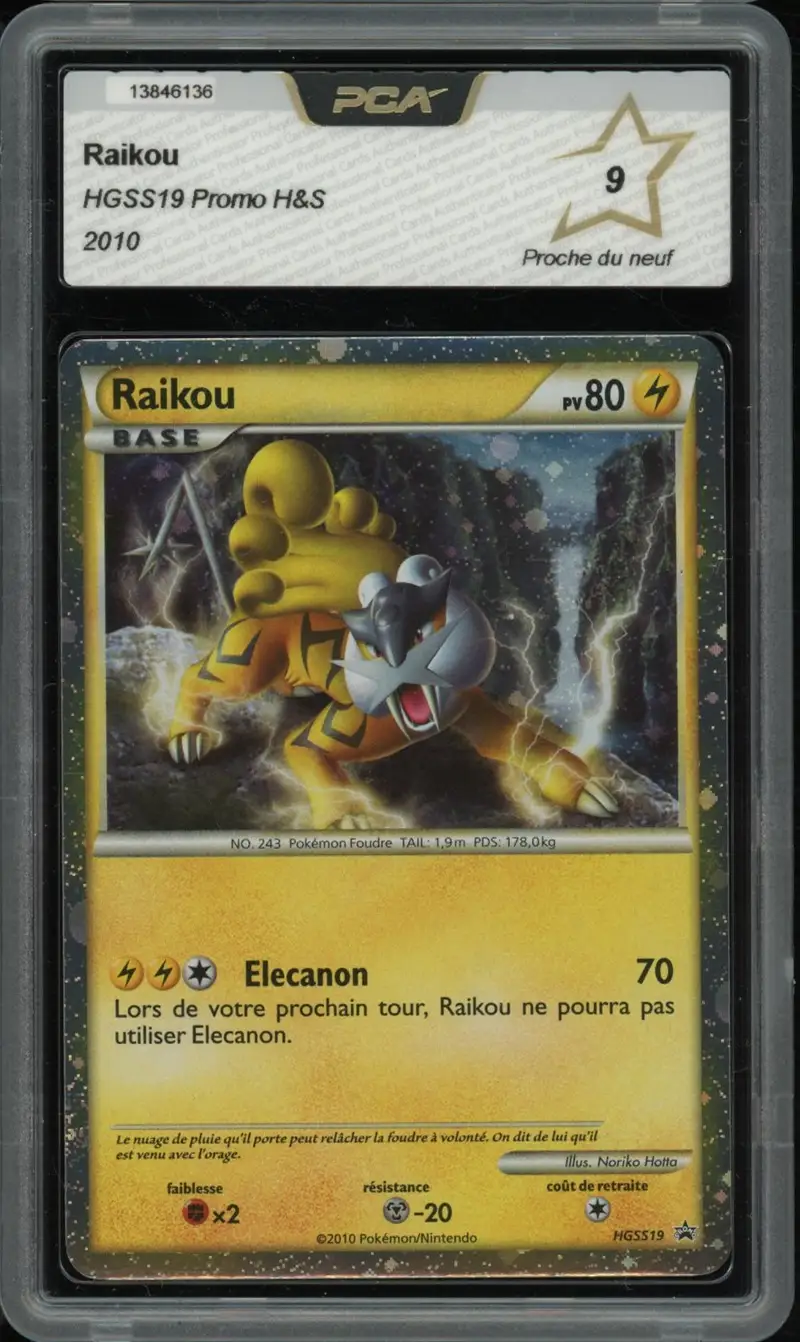 PCA 9 Raikou Holo