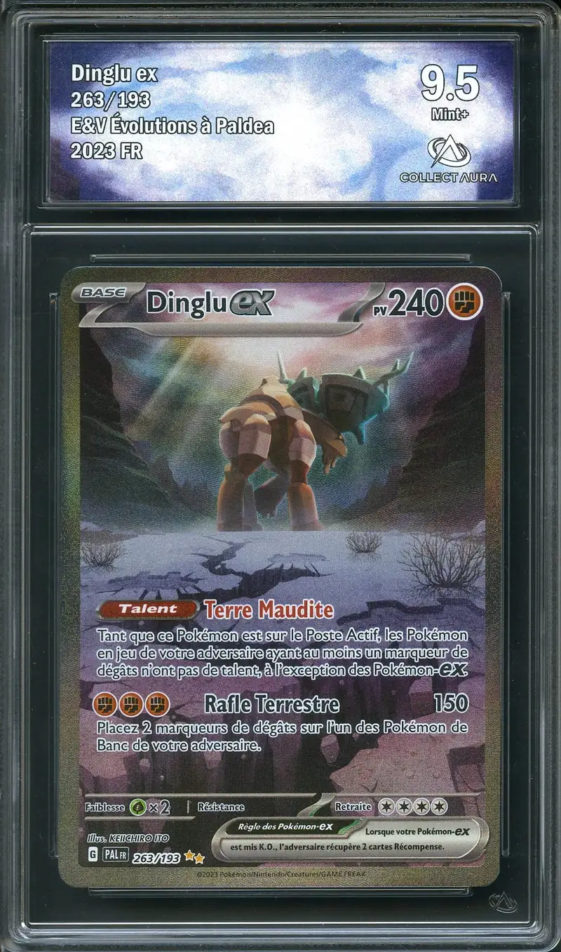 CA 9.5 Dinglu Ex