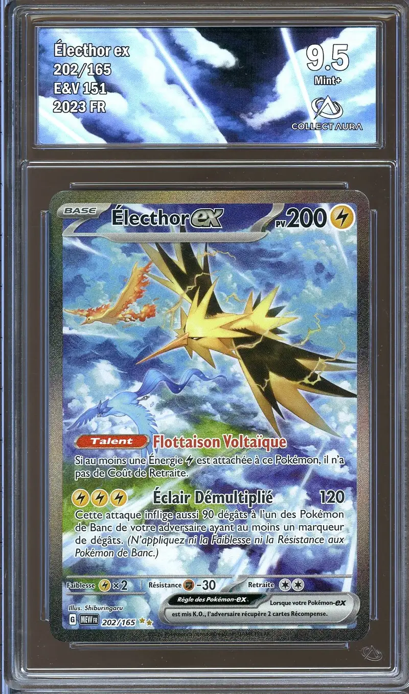 CA 9.5 Electhor Ex