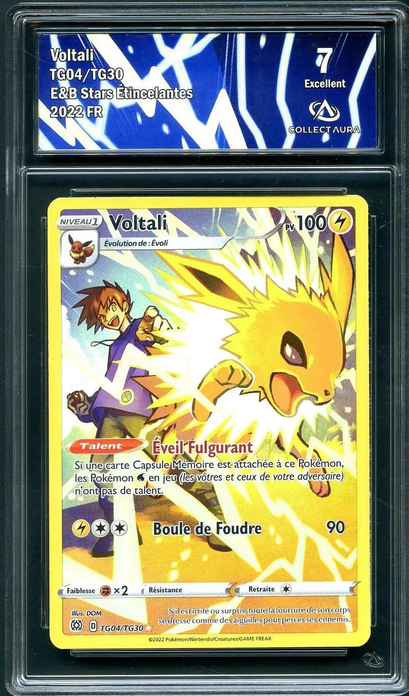 CA 7 Voltali