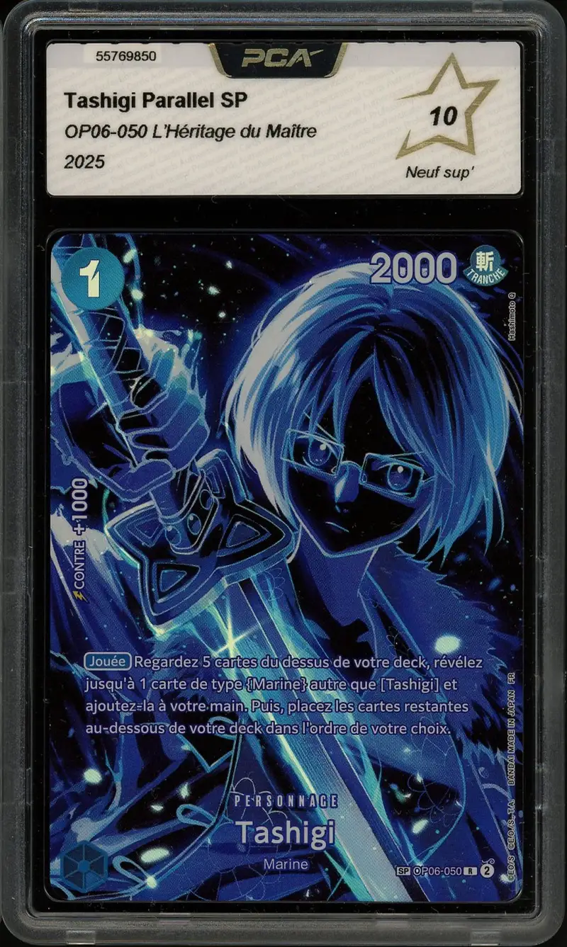 PCA 10 Tashigi