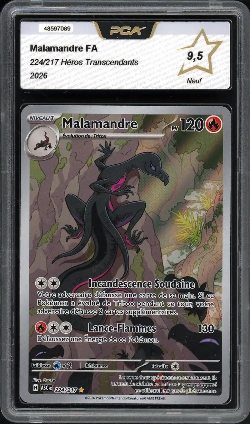 PCA 9.5 Malamandre