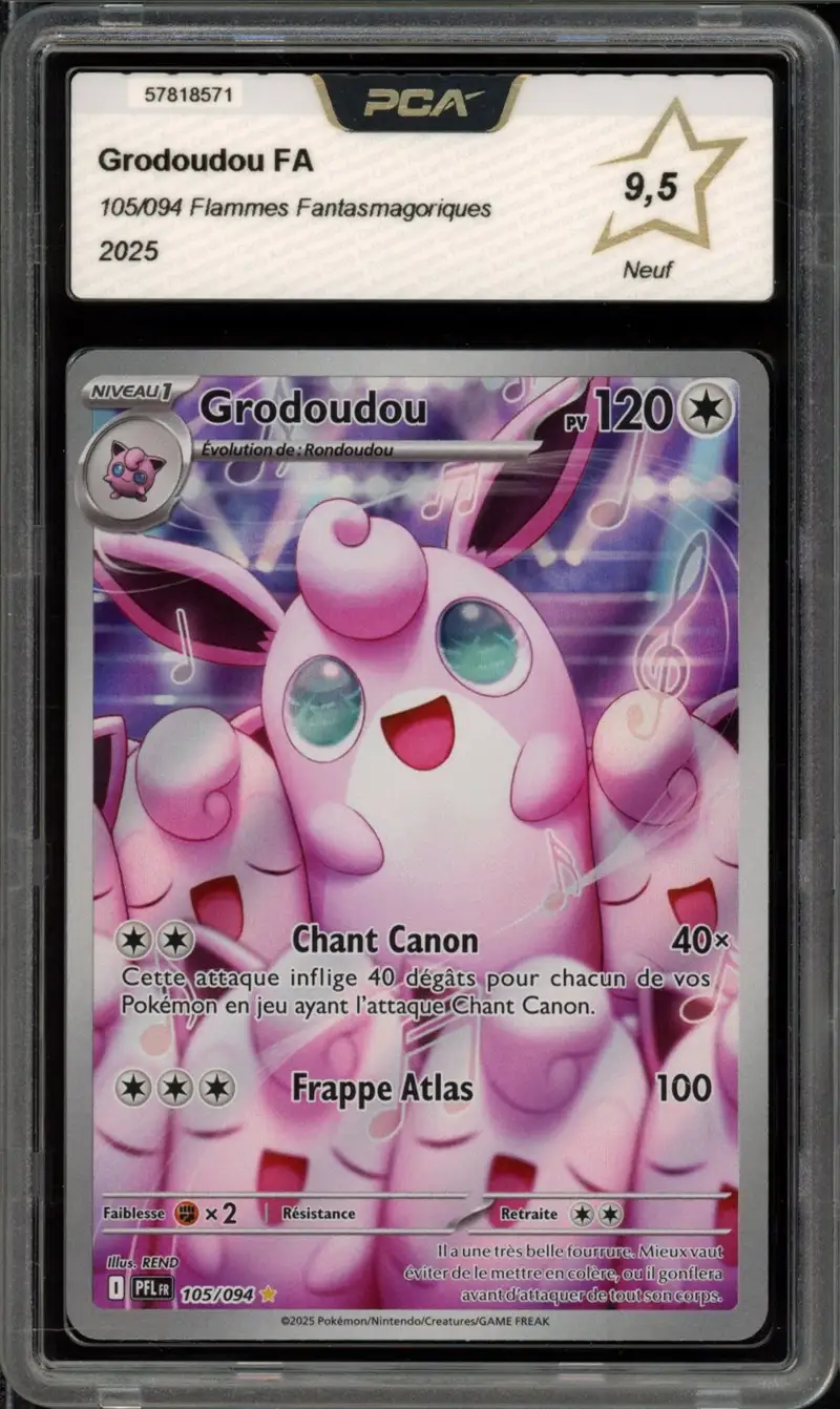 PCA 9.5 Grodoudou