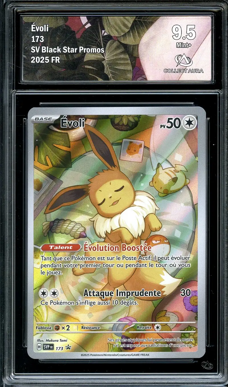 CA 9.5 Evoli