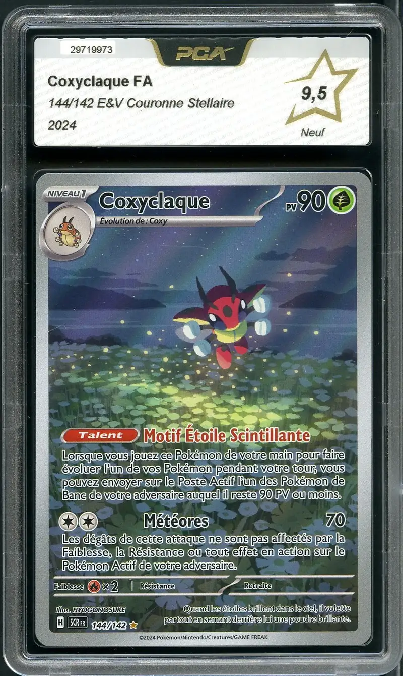 PCA 9.5 Coxyclaque