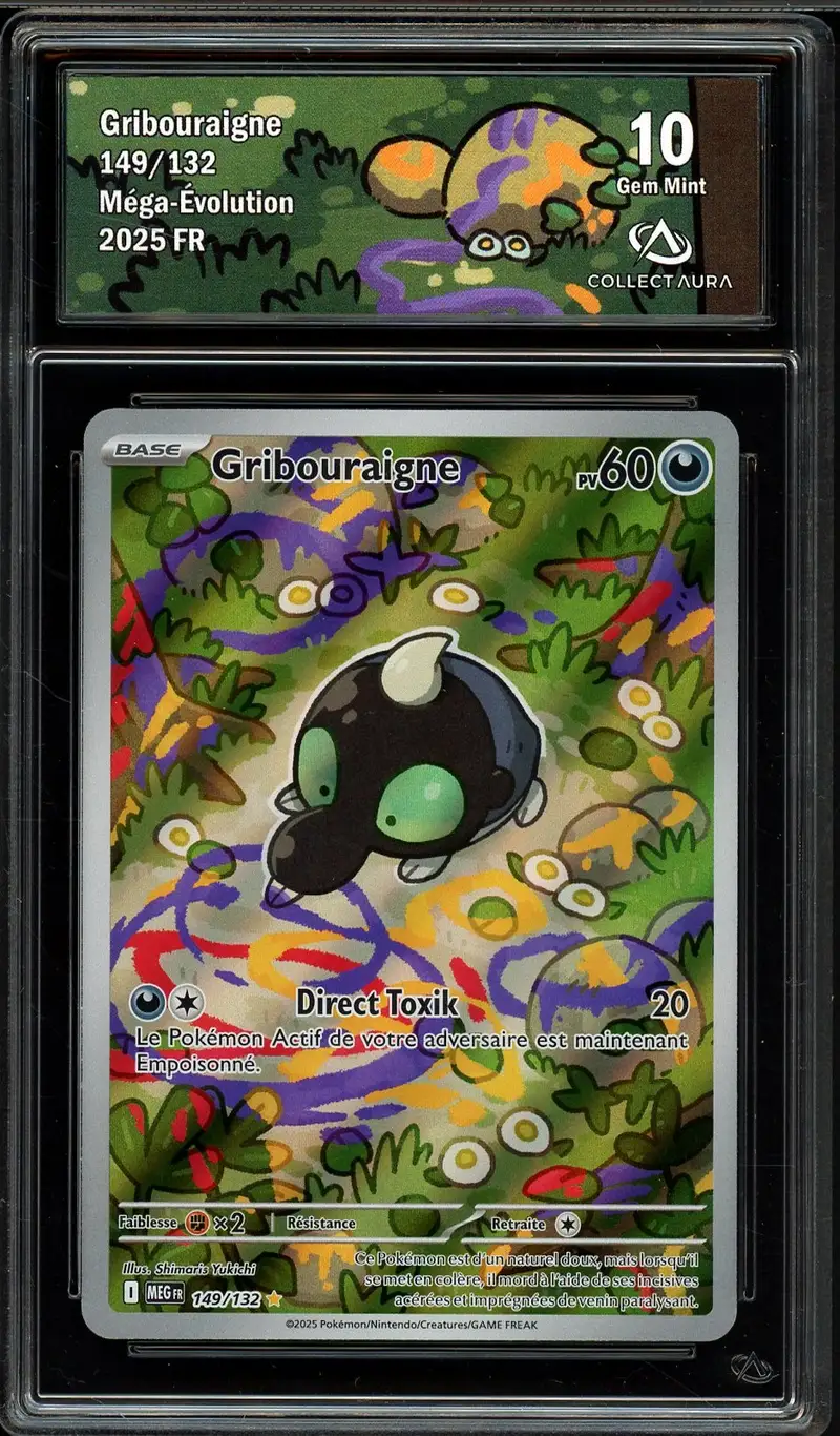CA 10 Gribouraigne