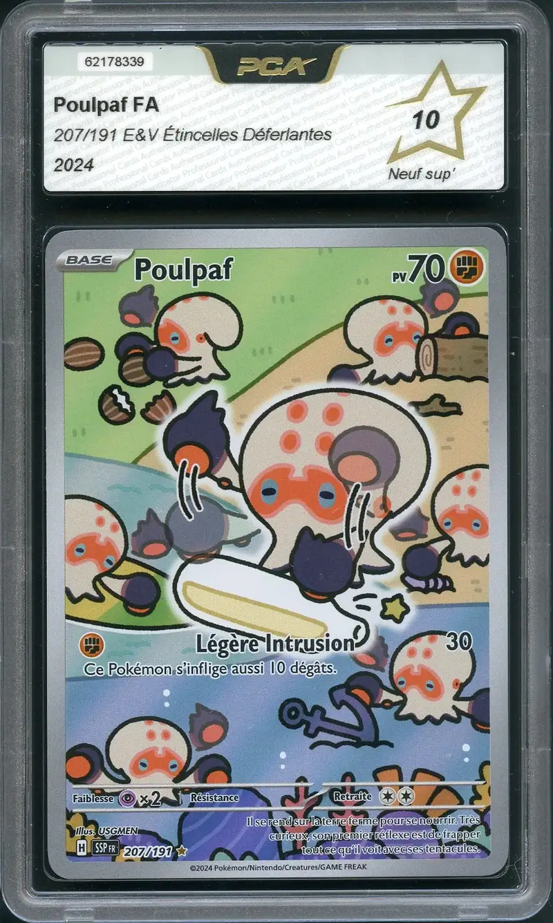 PCA 10 Poulpaf