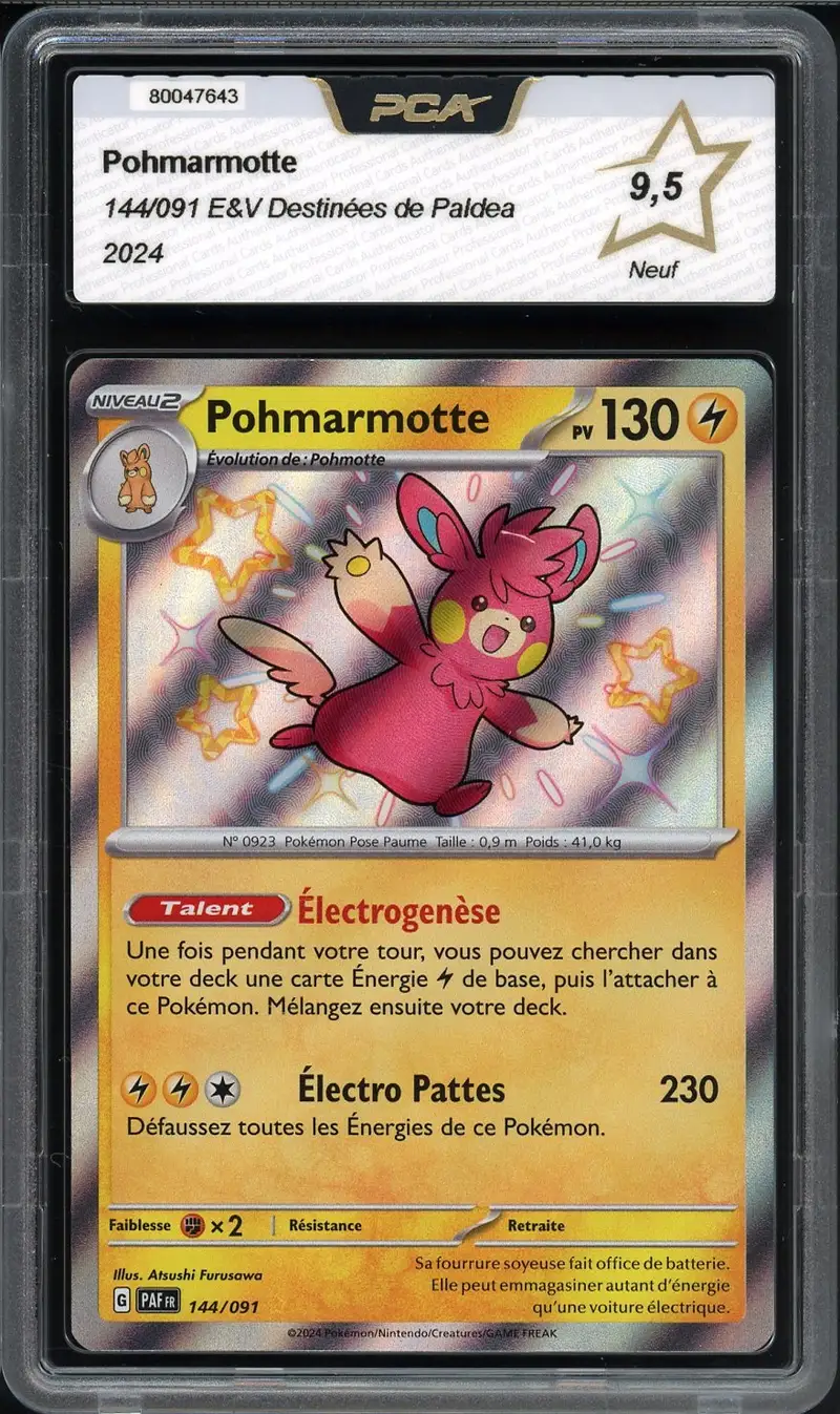 PCA 9.5 Pohmarmotte Shiny