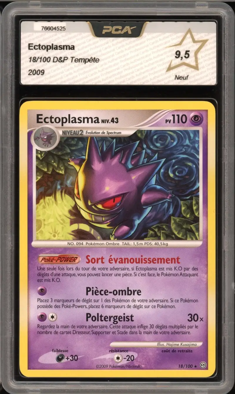 PCA 9.5 Ectoplasma