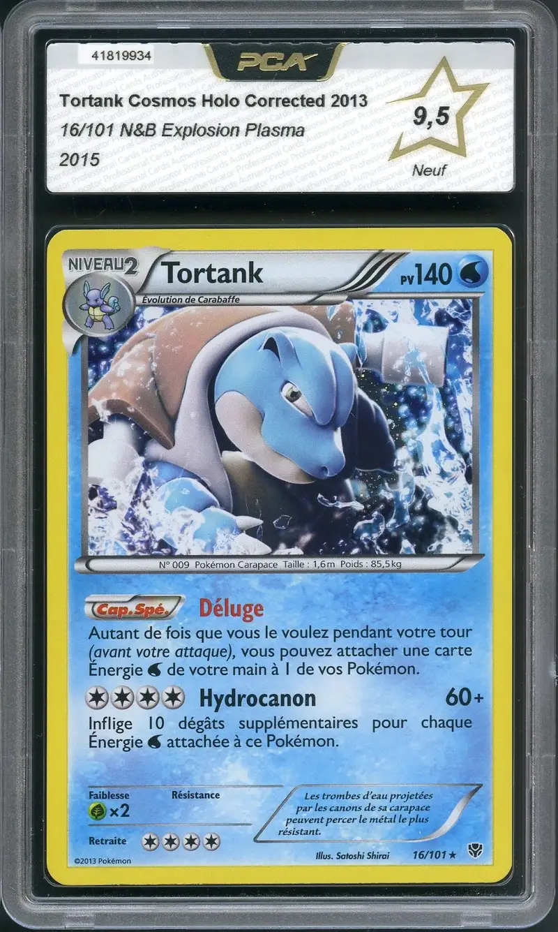 PCA 9.5 Tortank Holo