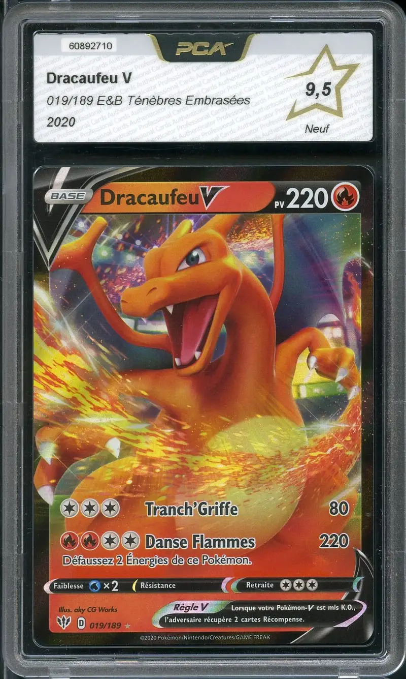PCA 9.5 Dracaufeu V