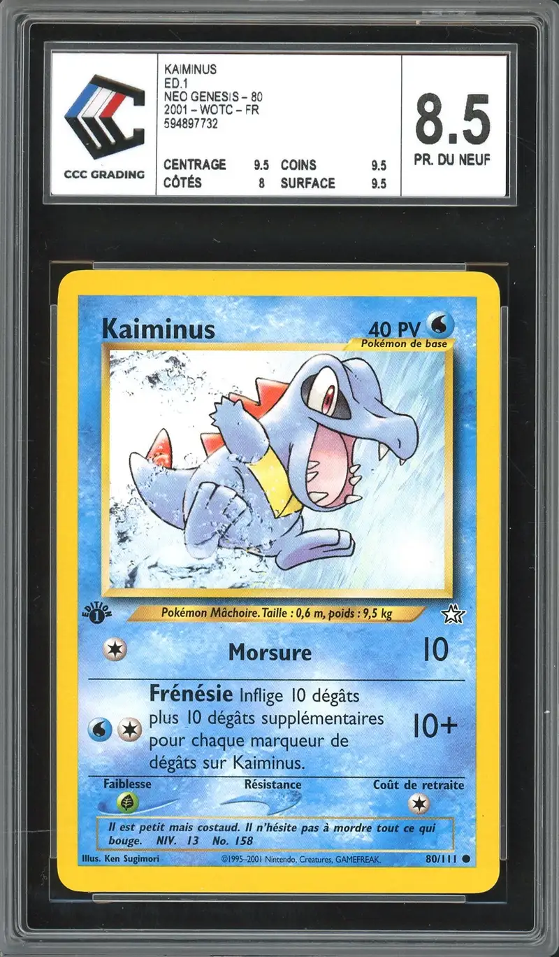 CCC 8.5 Kaiminus