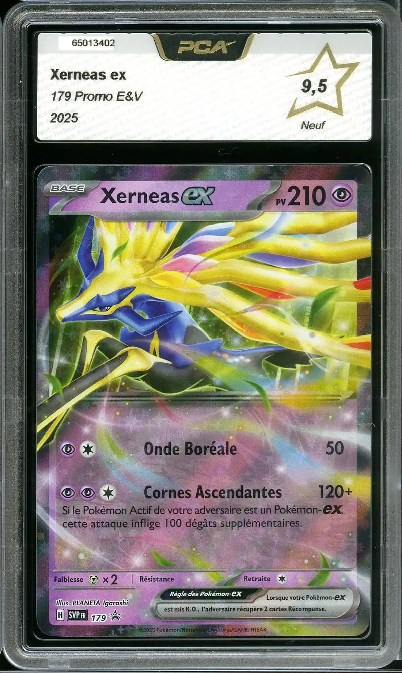 PCA 9.5 Xerneas Ex