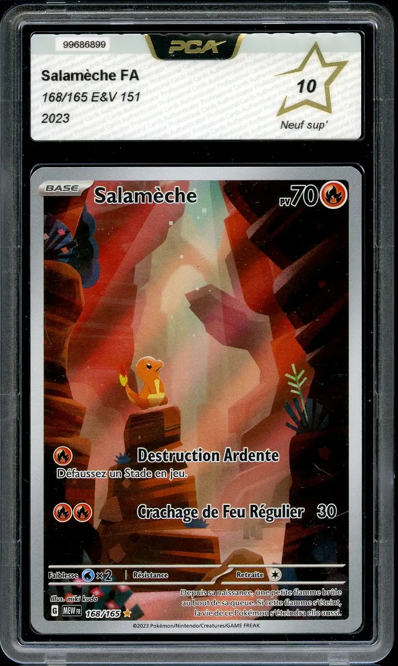 PCA 10 Salamèche