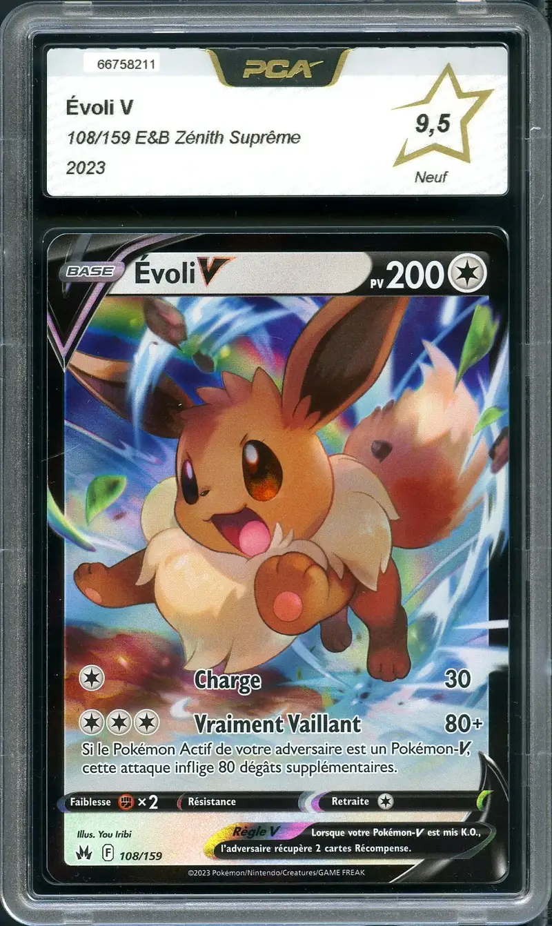 PCA 9.5 Evoli V