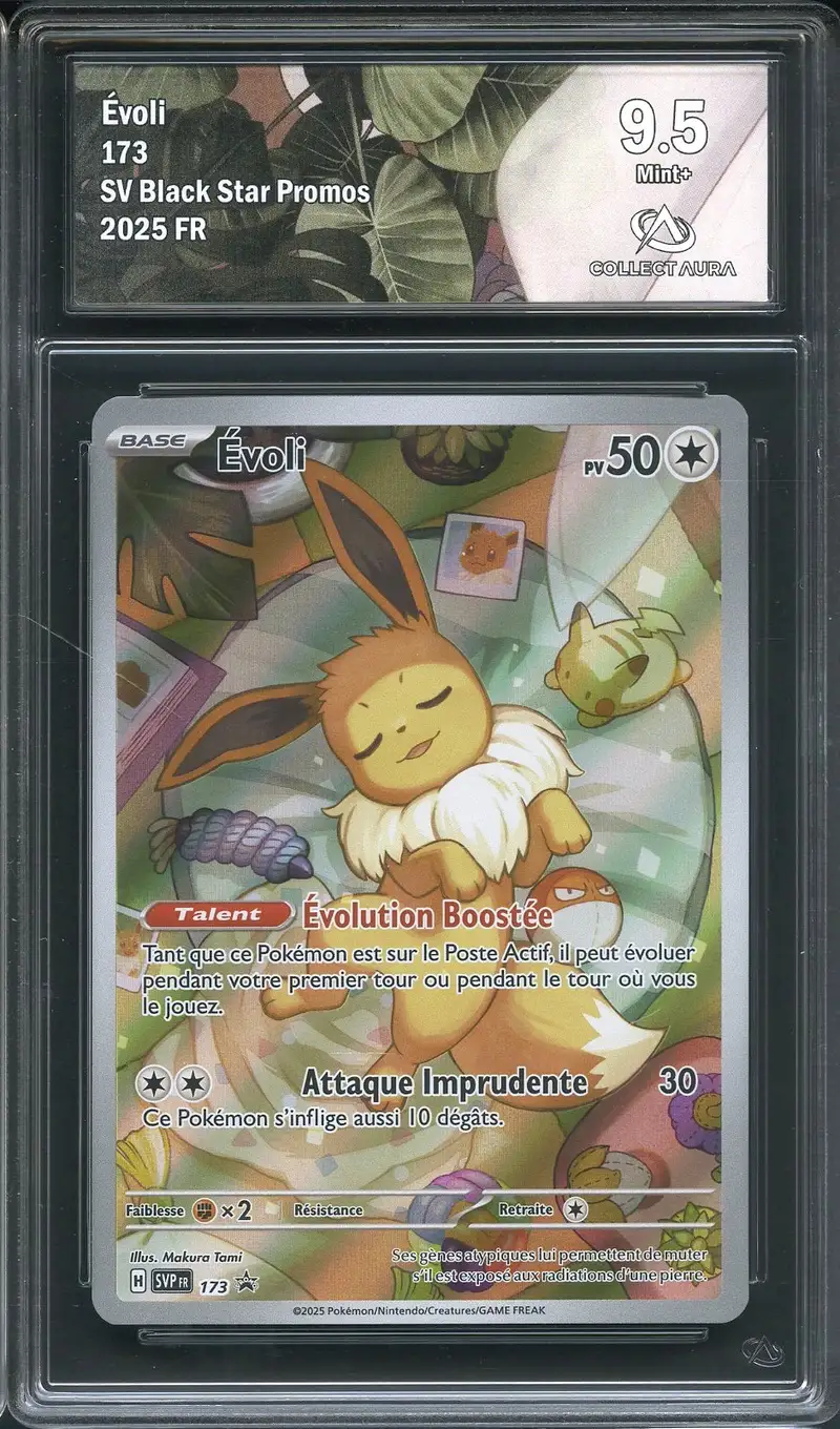 CA 9.5 Evoli
