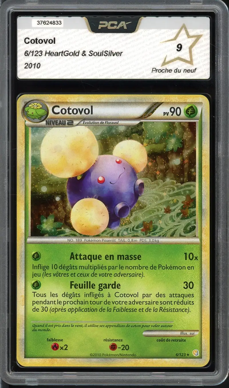 PCA 9 Cotovol Holo