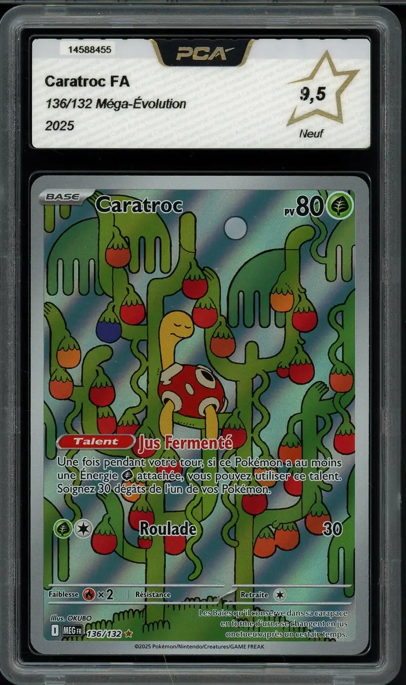 PCA 9.5 Caratroc