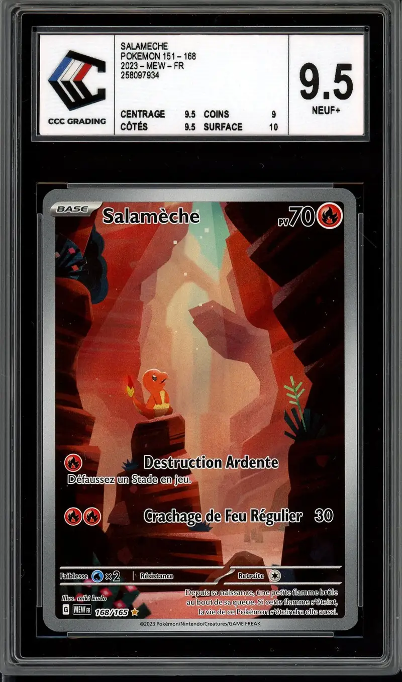 CCC 9.5 Salamèche