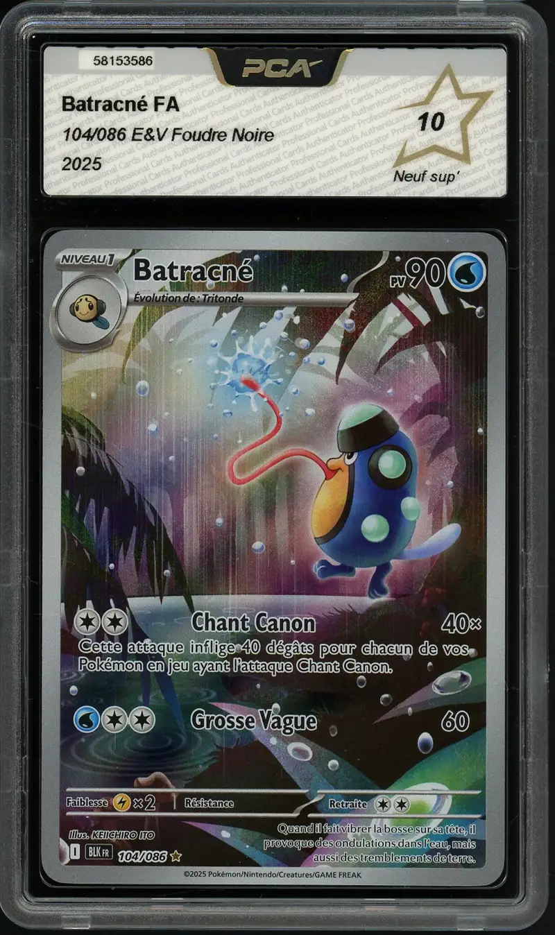 PCA 10 Batracné