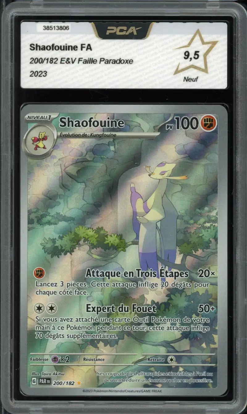 PCA 9.5 Shaofouine