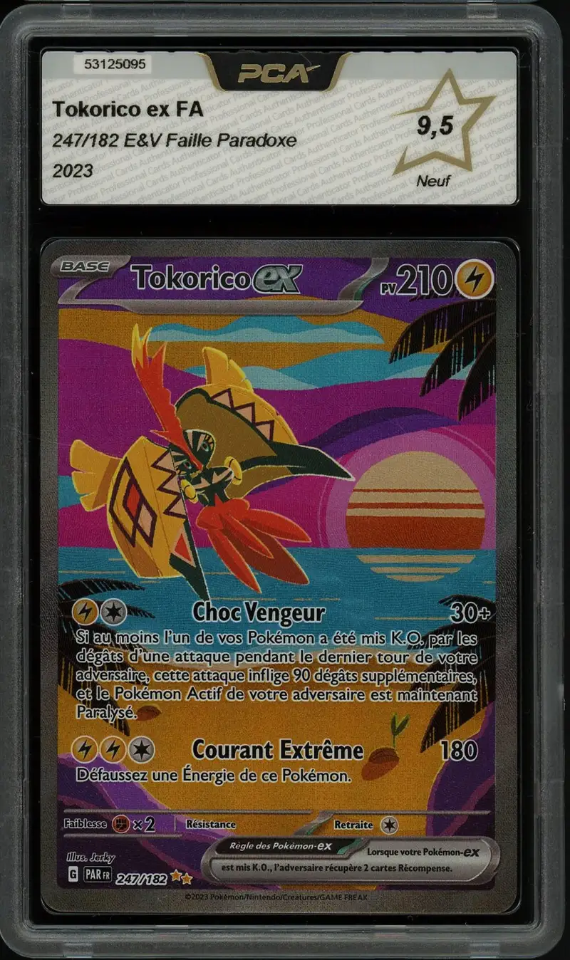 PCA 9.5 Tokorico Ex