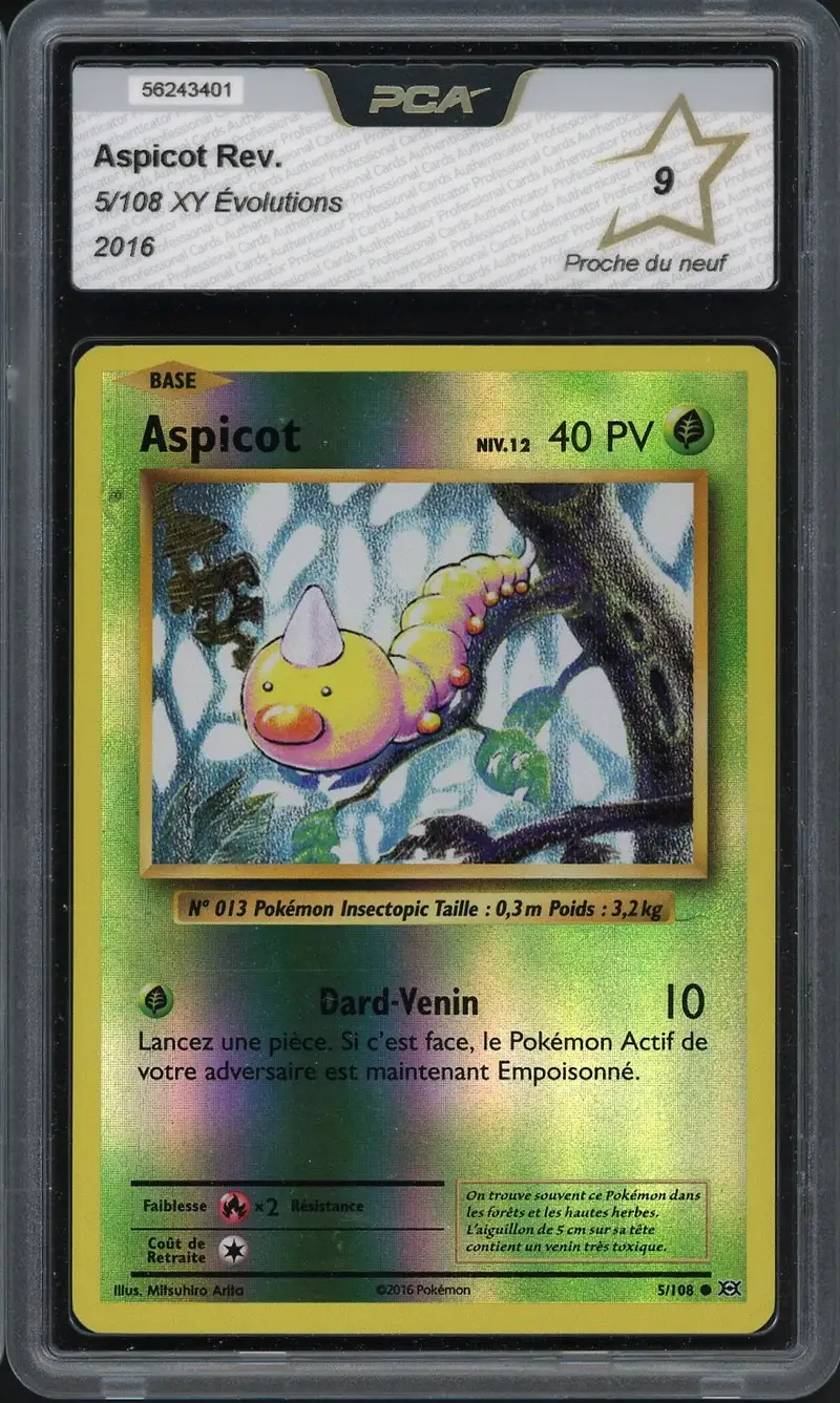 PCA 9 Aspicot Reverse