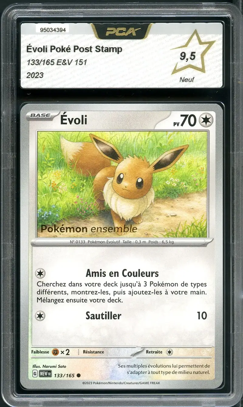 PCA 9.5 Evoli
