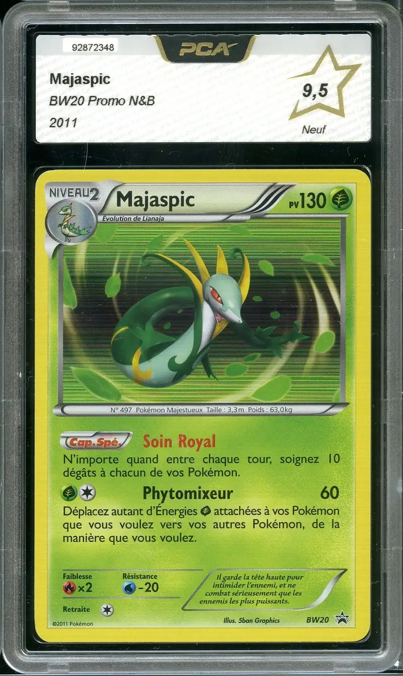 PCA 9.5 Majaspic Holo