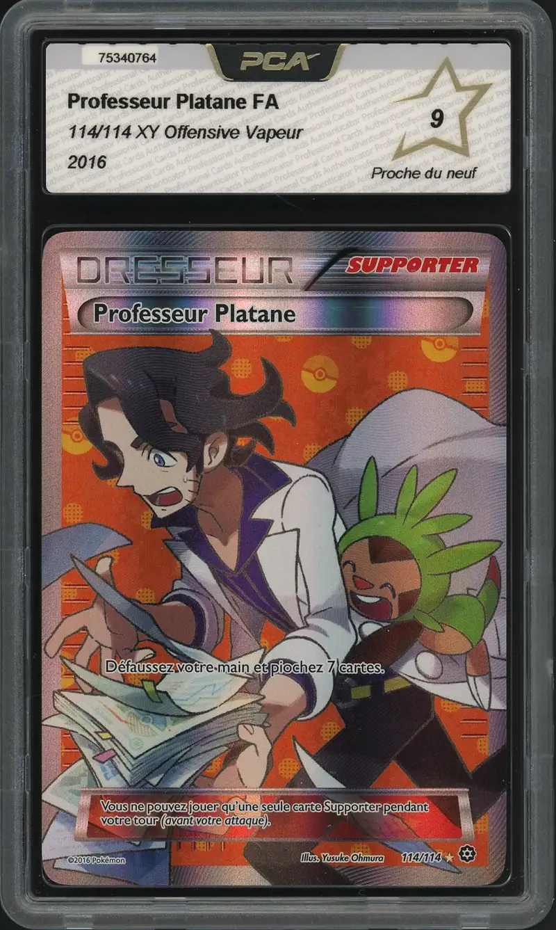 PCA 9 Professeur Platane