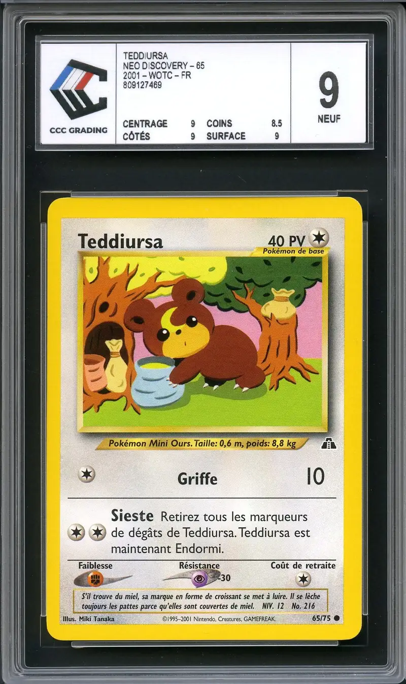 CCC 9 Teddiursa
