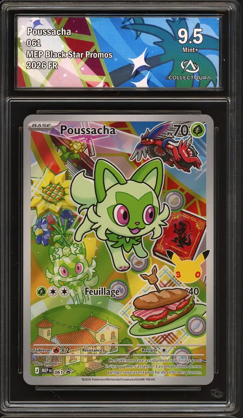 CA 9.5 Poussacha