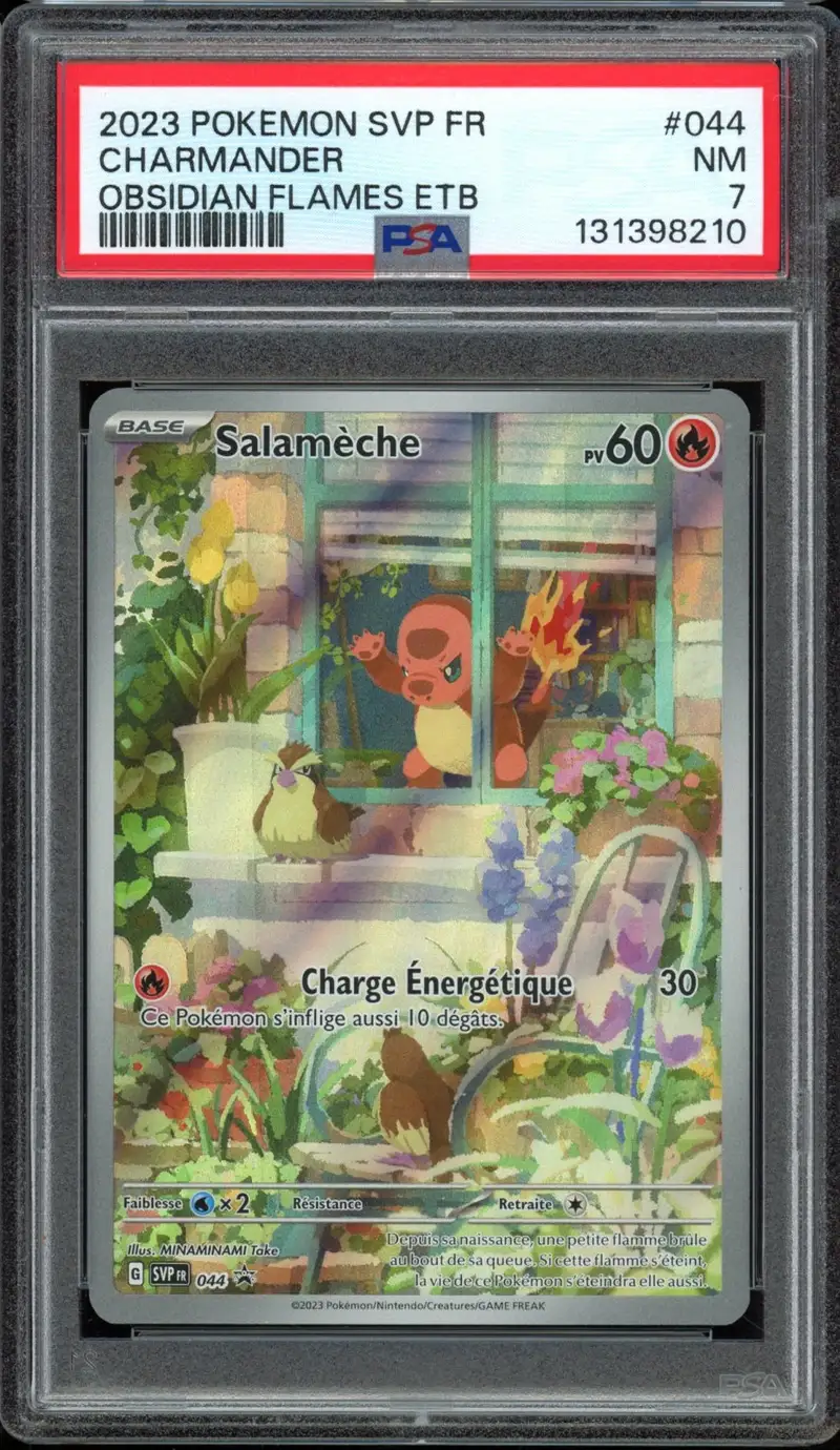 PSA 7 Salamèche