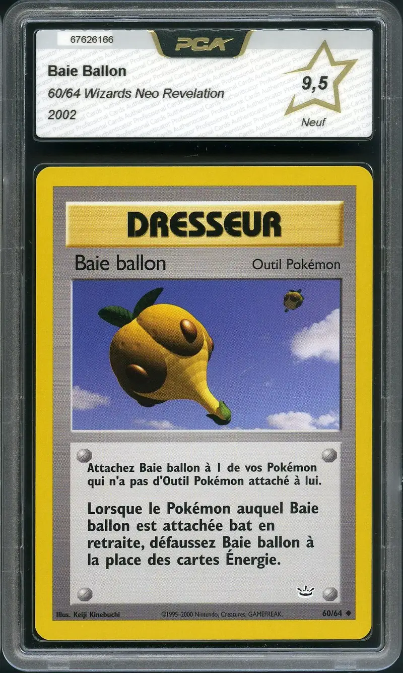 PCA 9.5 Baie Ballon