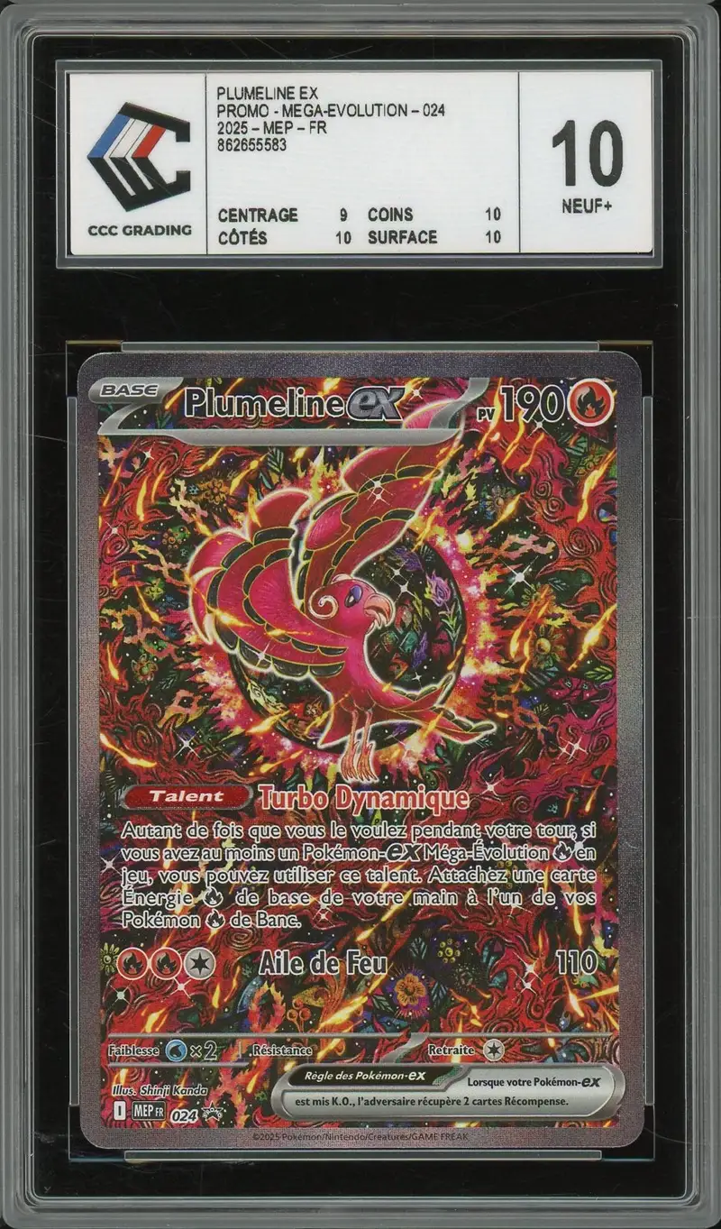 CCC 10 Plumeline Ex